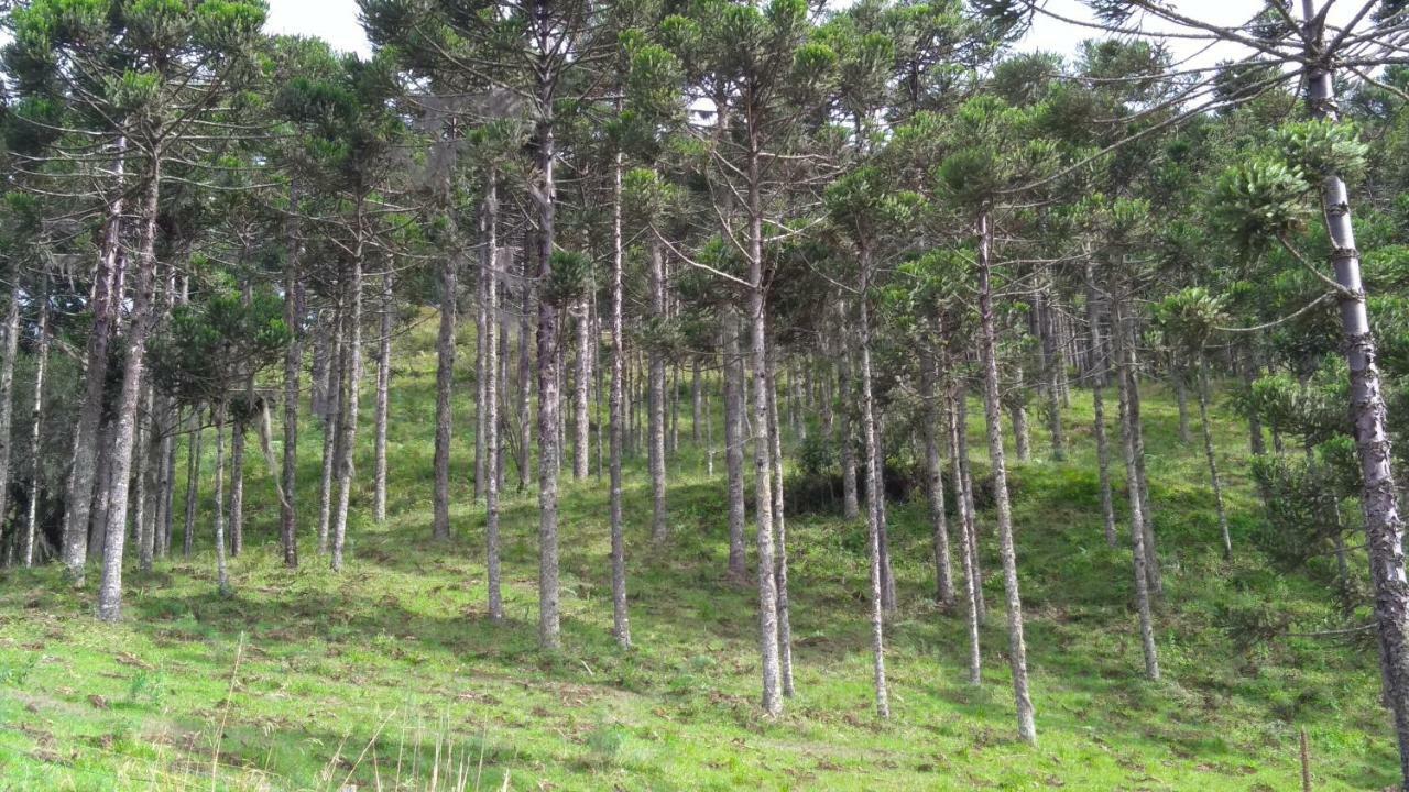 Quinta Da Serra Урубиси Экстерьер фото